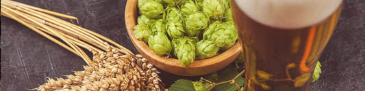 Ever Wondered How Beer is Made? The Science of Beer. - Bottle Stop