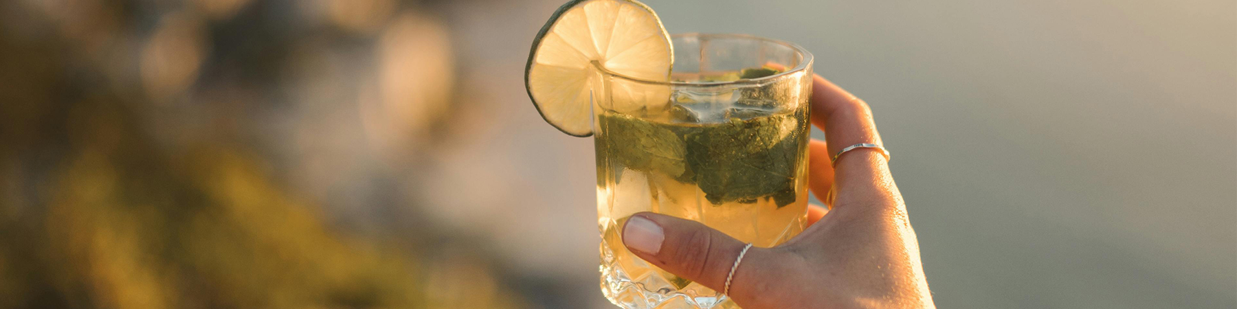 Discover_Gin_-_Desktop - Bottle Stop