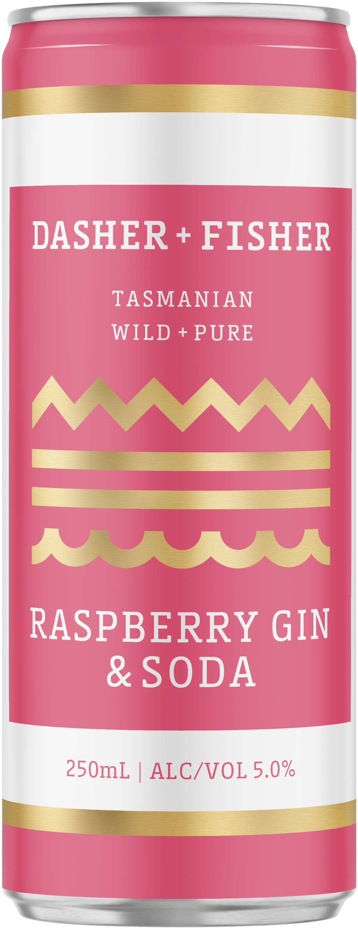 Buy Dasher + Fisher Raspberry Gin & Soda 250ml Online at Bottle Stop
